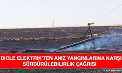 Dicle Elektrik'ten Anız Yangınlarına Karşı Sürdürülebilirlik Çağrısı