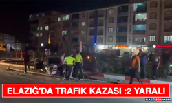 Elazığ'da Trafik Kazası :2 Yaralı
