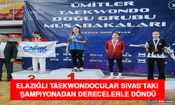 Elazığlı Taekwondocular Sivas’taki Şampiyonadan Derecelerle Döndü