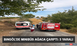 Bingöl’de Minibüs Ağaca Çarptı: 3 Yaralı