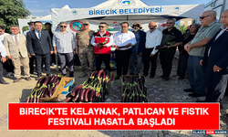 Birecik'te Kelaynak, Patlıcan Ve Fıstık Festivali Hasatla Başladı