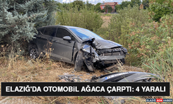 Elazığ'da Otomobil Ağaca Çarptı: 4 Yaralı