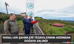 Yaralı Arı Şahinleri Tedavilerinin Ardından Doğaya Salındı
