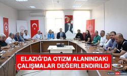 Elazığ'da Otizm Alanındaki Çalışmalar Değerlendirildi