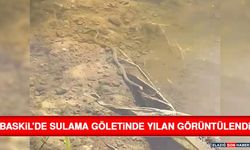 Baskil’de Sulama Göletinde Yılan Görüntülendi