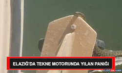 Elazığ'da Tekne Motorunda Yılan Paniği