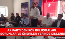 AK Parti’den Köy Buluşmaları: Sorunlar ve Öneriler Yerinde Dinlendi