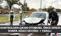 Kontrolden Çıkan Otomobil Önce Direği Sonra Ağacı Devirdi: 1 Yaralı