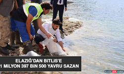 Elazığ’dan Bitlis’e 1 Milyon 397 Bin 500 Yavru Sazan