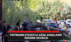Fırtınanın Etkisiyle Ağaç Araçların Üzerine Devrildi