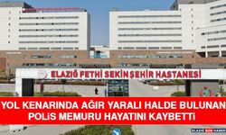 Yol Kenarında Ağır Yaralı Halde Bulunan Polis Memuru Hayatını Kaybetti