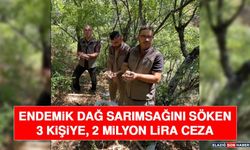 Endemik Dağ Sarımsağını Söken 3 Kişiye, 2 Milyon Lira Ceza