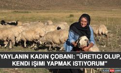 Yaylanın Kadın Çobanı: "Üretici Olup, Kendi İşimi Yapmak İstiyorum"