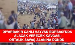 Diyarbakır Canlı Hayvan Borsası'nda Alacak Verecek Kavgası: Ortalık Savaş Alanına Döndü