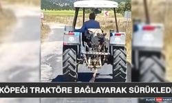 Köpeği Traktöre Bağlayarak Sürükledi