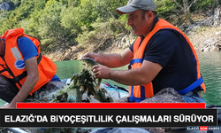 Elazığ'da Biyoçeşitlilik Çalışmaları Sürüyor