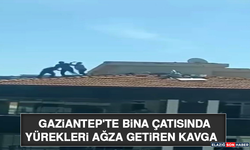 Gaziantep'te Bina Çatısında Yürekleri Ağza Getiren Kavga