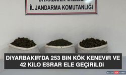 Diyarbakır'da 253 Bin Kök Kenevir ve 42 Kilo Esrar Ele Geçirildi
