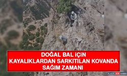 Doğal Bal İçin Kayalıklardan Sarkıtılan Kovanda Sağım Zamanı