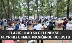 Elazığlılar 50.Geleneksel Peynirli Ekmek Pikniğinde Buluştu