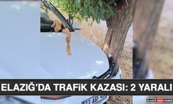 Elazığ’da Trafik Kazası: 2 Yaralı