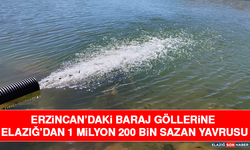 Erzincan’daki Baraj Göllerine Elazığ’dan 1 Milyon 200 Bin Sazan Yavrusu