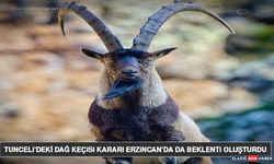 Tunceli’deki Dağ Keçisi Kararı Erzincan’da Da Beklenti Oluşturdu
