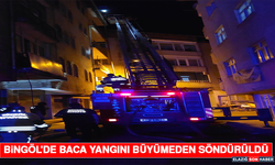 Bingöl'de Baca Yangını Büyümeden Söndürüldü