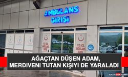 Ağaçtan Düşen Adam, Merdiveni Tutan Kişiyi de Yaraladı