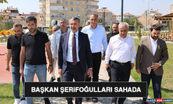 Başkan Şerifoğulları Sahada