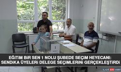 Eğitim Bir Sen 1 Nolu Şubede Seçim Heyecanı: Sendika Üyeleri Delege Seçimlerini Gerçekleştirdi