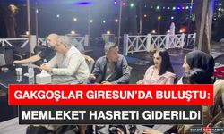Gakgoşlar Giresun’da Buluştu: Memleket Hasreti Giderildi