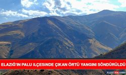 Elazığ’ın Palu İlçesinde Çıkan Örtü Yangını Söndürüldü