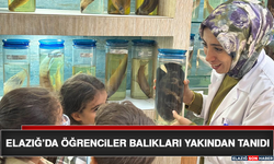 Elazığ’da Öğrenciler Balıkları Yakından Tanıdı