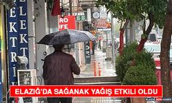 Elazığ'da Sağanak Yağış Etkili Oldu
