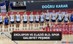 Ekolspor ve Elazığ BLD. Spor Galibiyet Peşinde