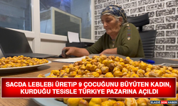 Sacda Leblebi Üretip 9 Çocuğunu Büyüten Kadın, Kurduğu Tesisle Türkiye Pazarına Açıldı