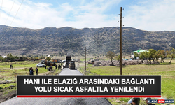 Hani İle Elazığ Arasındaki Bağlantı Yolu Sıcak Asfaltla Yenilendi