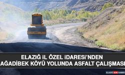 Elazığ İl Özel İdaresi’nden Ağadibek Köyü Yolunda Asfalt Çalışması