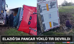 Elazığ'da Pancar Yüklü Tır Devrildi
