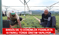 Bingöl’de 72 Dönümlük Fidanlıkta 18 Farklı Türde Üretim Yapılıyor