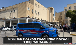 Siverek Hayvan Pazarında Kavga: 1 Kişi Yaralandı