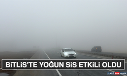 Bitlis’te Yoğun Sis Etkili Oldu
