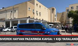 Siverek Hayvan Pazarında Kavga: 1 Kişi Yaralandı