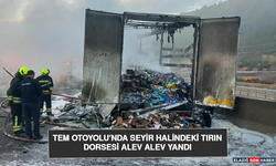 TEM Otoyolu'nda Seyir Halindeki Tırın Dorsesi Alev Alev Yandı