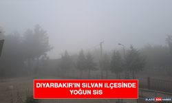 Diyarbakır'ın Silvan İlçesinde Yoğun Sis