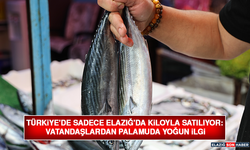 Türkiye'de Sadece Elazığ'da Kiloyla Satılıyor: Vatandaşlardan Palamuda Yoğun İlgi