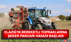 Elazığ’ın Bereketli Topraklarında Şeker Pancarı Hasadı Başladı