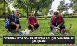 Diyarbakır'da Sokak Hayvanları İçin Farkındalık Çalışması
