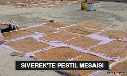 Siverek'te Pestil Mesaisi